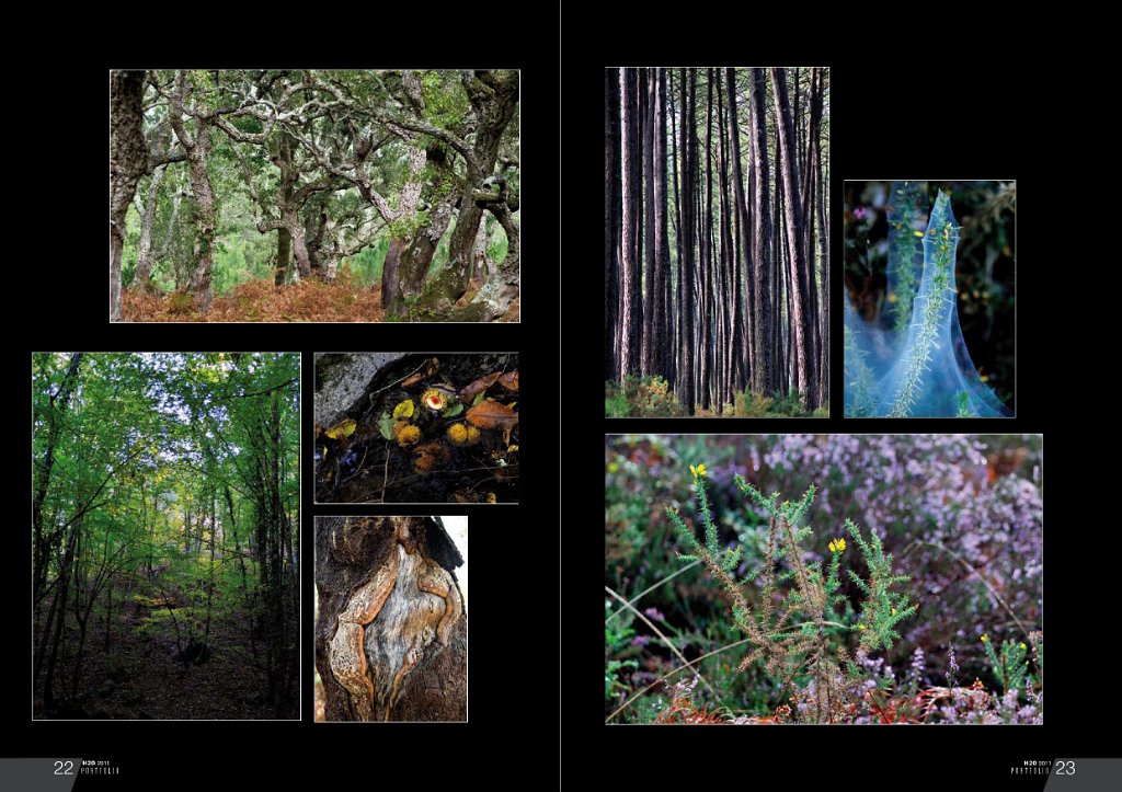 ba porfolio def-2.JPG